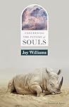 Concerning the Future of Souls
