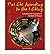 T'ai Chi According to the I Ching: Embodying the Principles of the Book of Changes (Paperback) - Common
