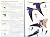 Swallows & Martins: An Iden...