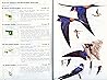 Swallows & Martin...