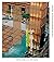 The Fundamentals of Landscape Architecture by Waterman, Tim (2009) Paperback