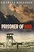 Prisoner Of War: Voices from Behind the Wire in the Second World War: Voices from Captivity During the Second World War by Charles Rollings (2007-05-03)