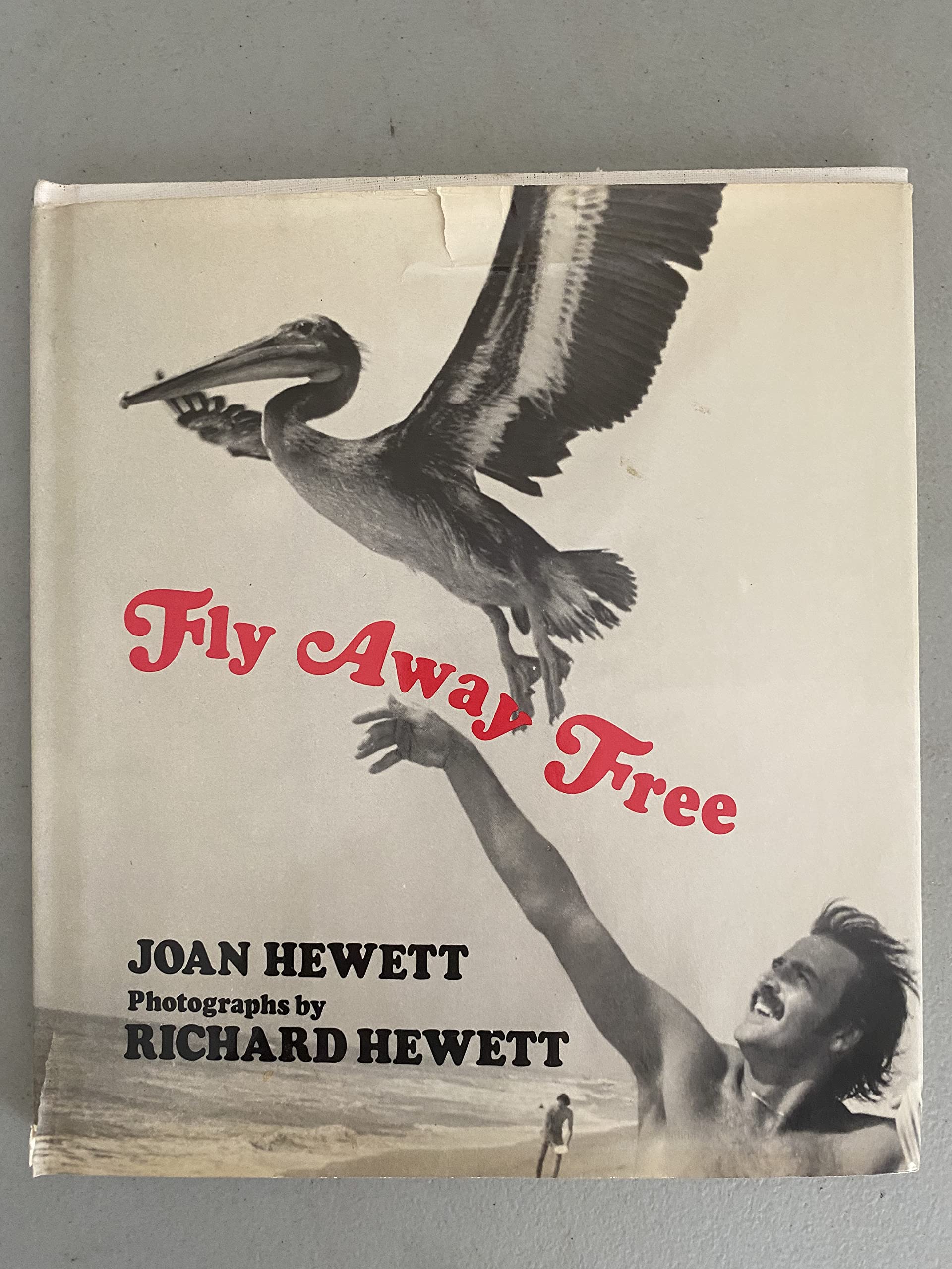 Fly Away Free (Hardcover)