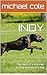 INDY: The story of a lost man and an abandoned dog