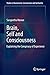 Brain, Self and Consciousness: Explaining the Conspiracy of Experience (Studies in Neuroscience, Consciousness and Spirituality) by Sangeetha Menon (2013-11-06)