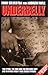 Underbelly: The Stink, the Fink and the Missing Link by Andrew Rule (31-Jan-2007) Paperback