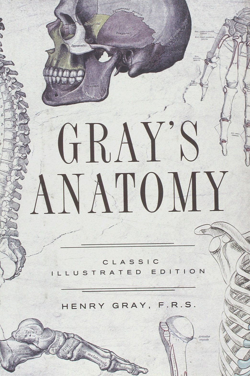 Gray's Anatomy (Fall River Classics) by Henry Gray F. R. S. (7-Mar-2013) Hardcover