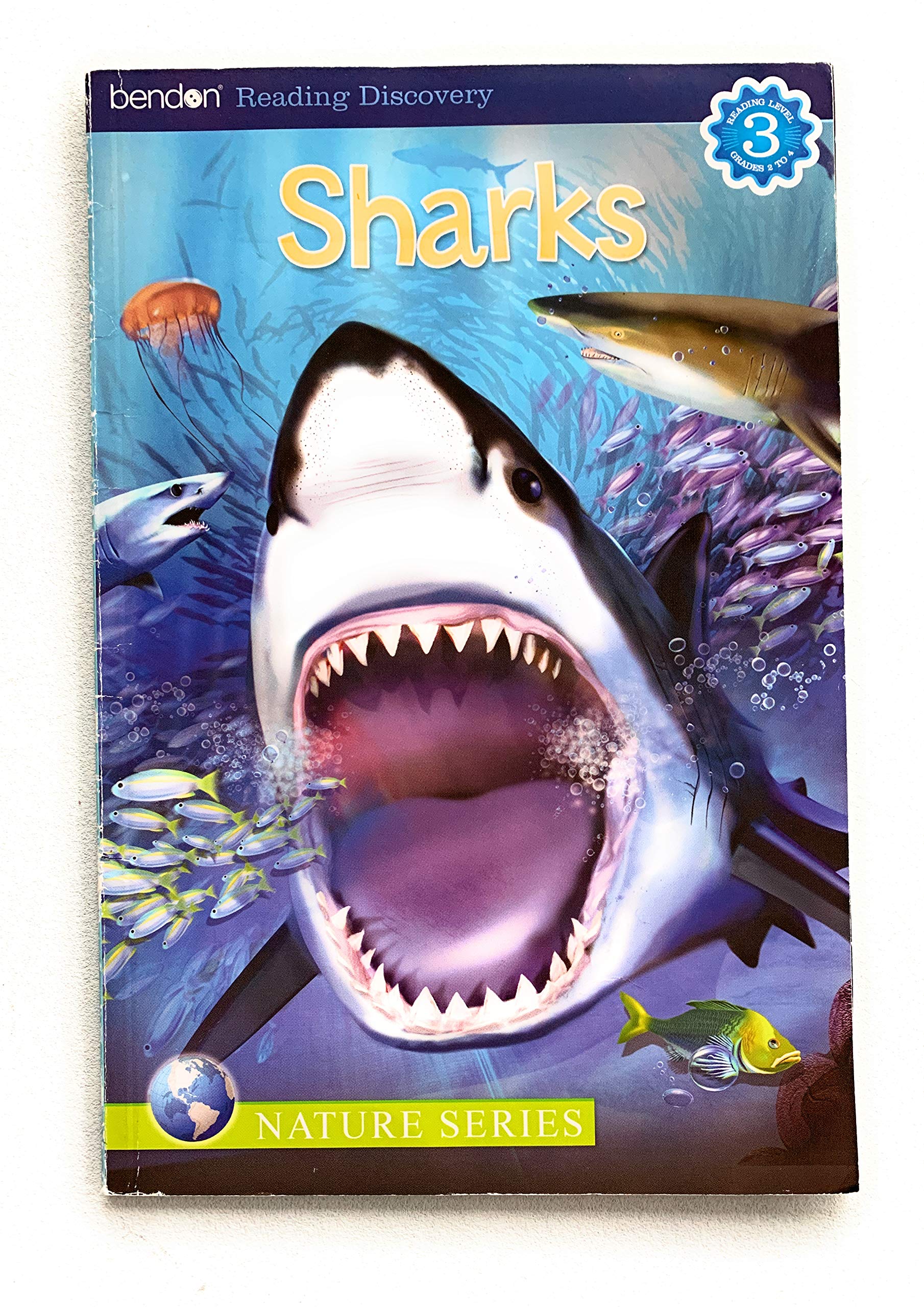 Sharks (Paperback)