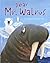 Dear Mr. Walrus