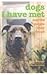 Dogs I have met/Dogs who fo...
