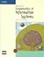 by Ralph Stair (Author), George Reynolds (Author)Fundamentals of Information Systems, Second Edition (Paperback)