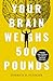 Your Brain Weighs 500 Pounds: Change Your Mindset to Achieve Desired Outcomes