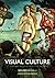 Visual Culture [Hardcover] [2012] (Author) Richard Howells, Joaquim Negreiros