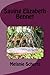 Saving Elizabeth Bennet by Melanie Schertz (2014-05-13)