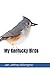 My Kentucky Birds