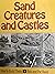 Sand Creatures and Sand Castles: How to Build Them by Reed Bob and Reed Pat (1977-01-01) Hardcover