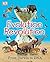 Evolution Revolution (Big Questions) by Robert Winston (2009-01-19)