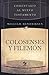 Comentario al Nuevo Testamento - Colosenses y Filemón by William Hendricksen
