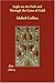 Light on the Path and Through the Gates of Gold by Mabel Collins (12-Dec-2007) Paperback