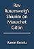 Rav Rosensweig’s Shiurim on...