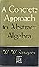 Concrete Approach to Abstract Algebra