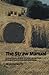 The Straw Manual: A practic...