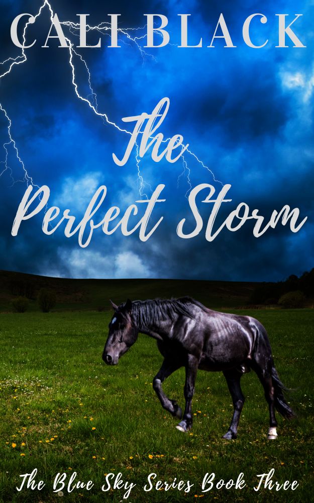 The Perfect Storm (The Blue Sky Series, #3)