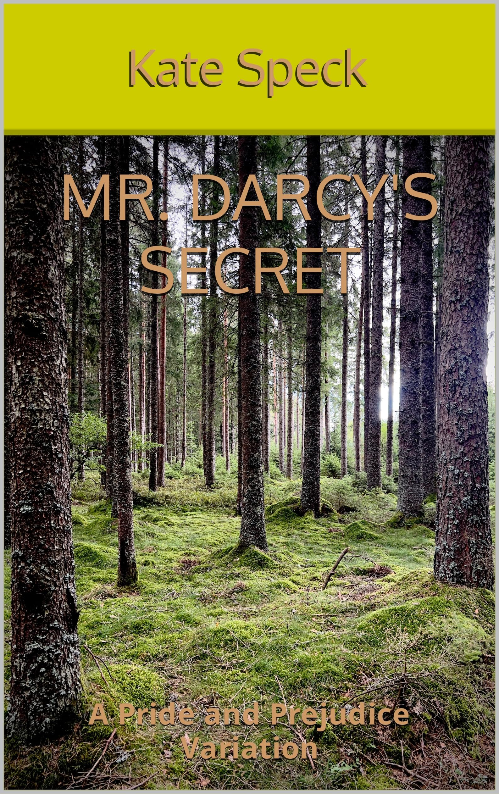 Mr. Darcy's Secret: A Pride and Prejudice Variation (Kindle Edition)