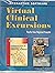Virtual Clinical Excursions for Introduction to Maternity and Pediatric Nursing (Book + CD-ROM)