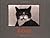 Ernie: A Photographer's Memoir by Tony Mendoza (2001-04-03)