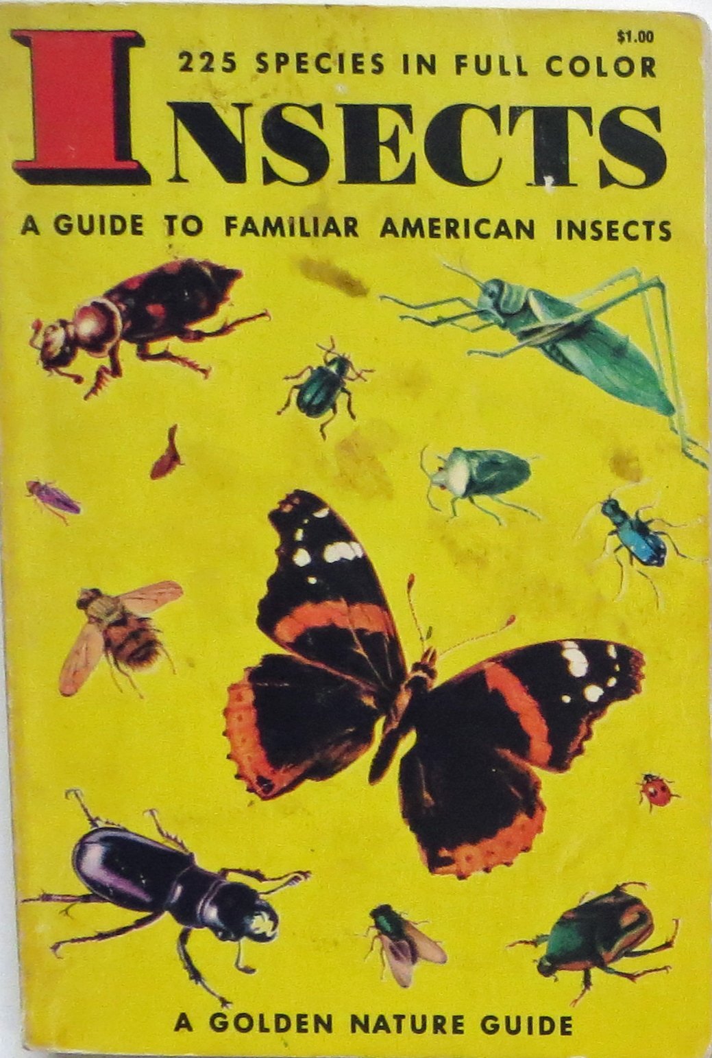 Insects - Golden Nature Guide (Paperback)