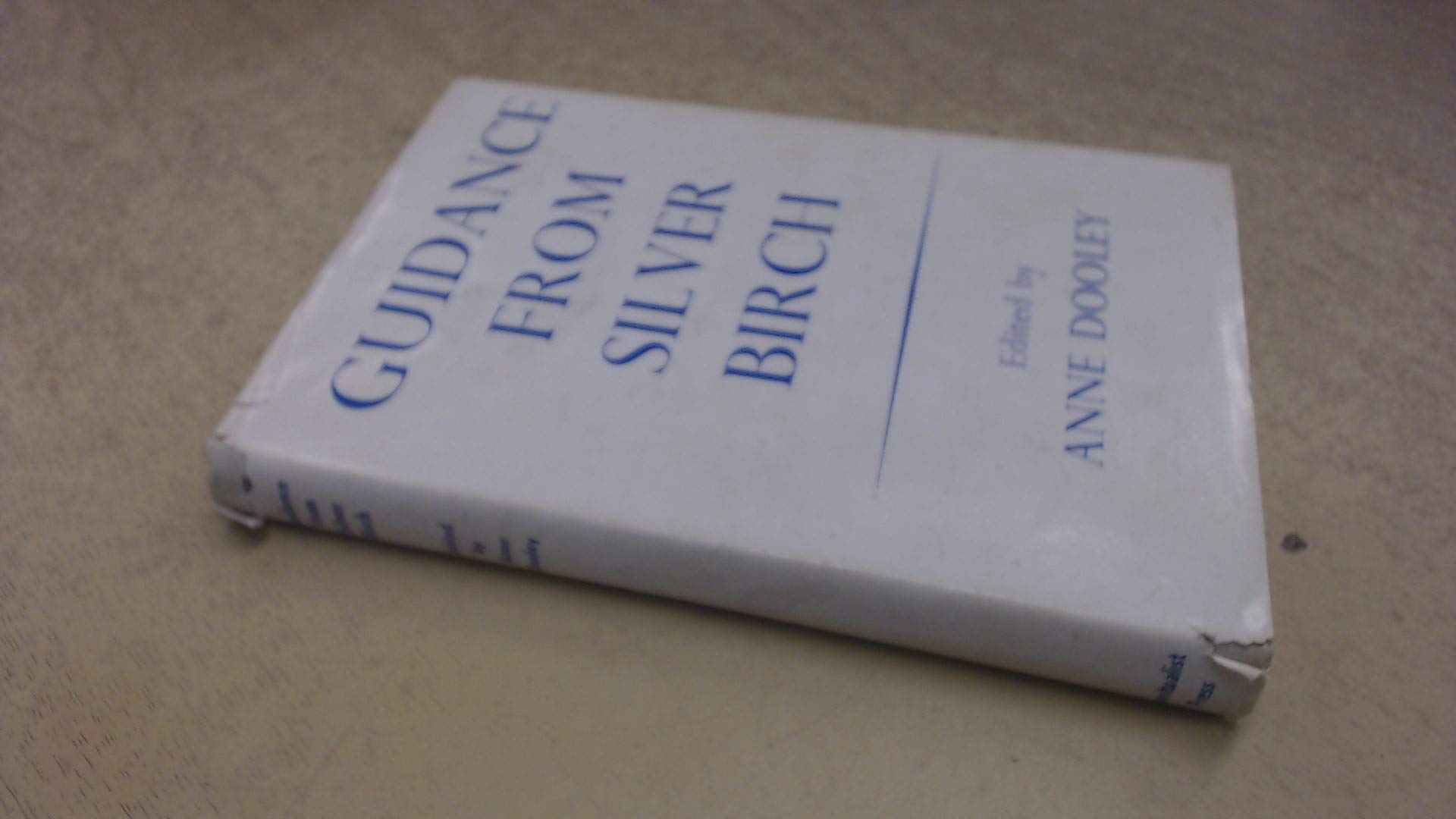 Guidance from Silver Birch (Hardcover)