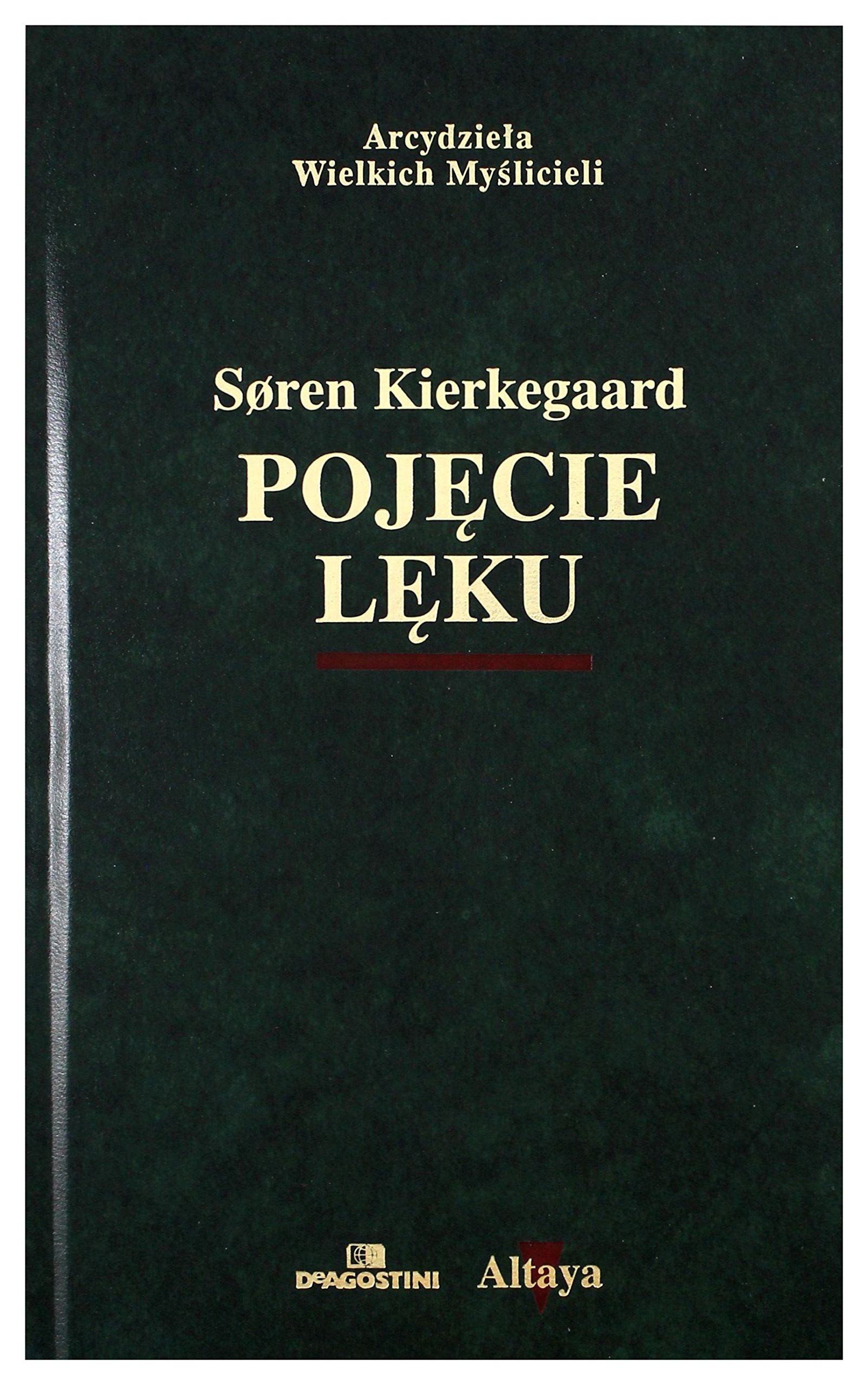 Pojecie leku (Paperback)