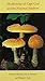 Mushrooms of Cape Cod and the National Seashore by Bessette, Arleen (2001) Paperback