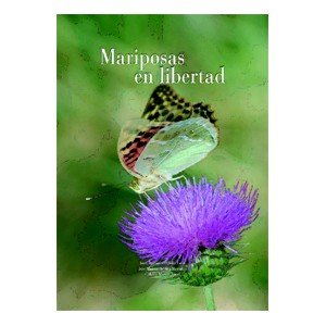 Mariposas En Libertad. Precio En Dolares (Hardcover)