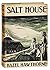 Salt house,: A novel,