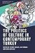 The Politics of Culture in Contemporary Turkey (Edinburgh Studies on Modern Turkey)