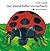 Der kleine Käfer Immerfrech (German Edition)