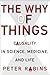 The Why of Things: Causality in Science, Medicine, and Life by Peter V. Rabins (2013-08-20)