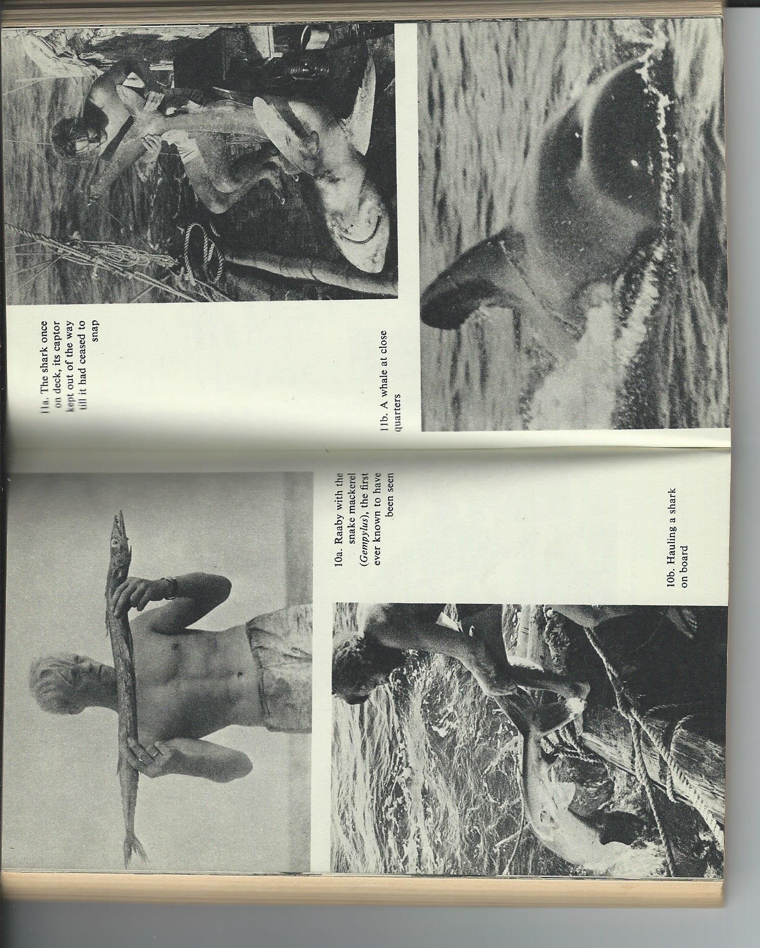 The Kon-Tiki expedition