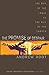 The Promise of Despair: The Way of the Cross as the Way of the Church (Living Theology) by Andrew Root (2010-03-01)