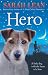 Hero by Sarah Lean (27-Feb-2014) Paperback