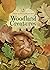 Woodland Creatures