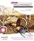 Foundation Flex for Developers: Data-Driven Applications with PHP, ASP.NET, ColdFusion, and LCDS by Sas Jacobs (2007-12-17)