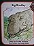 Big Bradley
