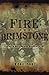 Fire and Brimstone The North Butte Mining Disaster of 1917 by... by Michael Punke