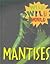 Mantises (Wild Wild World)