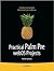 Practical Palm Pre webOS Projects (Beginning) 1st (first) edition Text Only