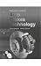 Auto Brakes Technology