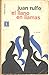 El Llamo En LLamas by Juan Rulfo